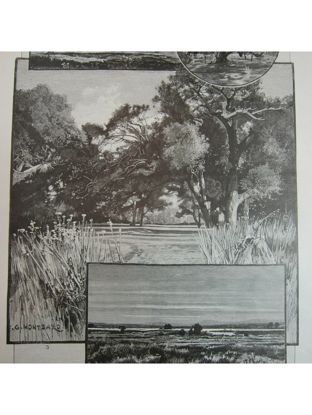 Antique 1888 Print Views in Lower California San Rafael Valley Las Animas Canyon